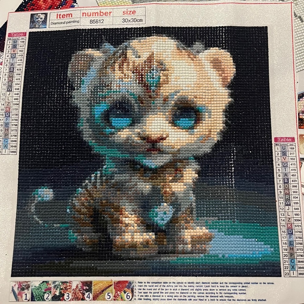 Completed Diamond Painting